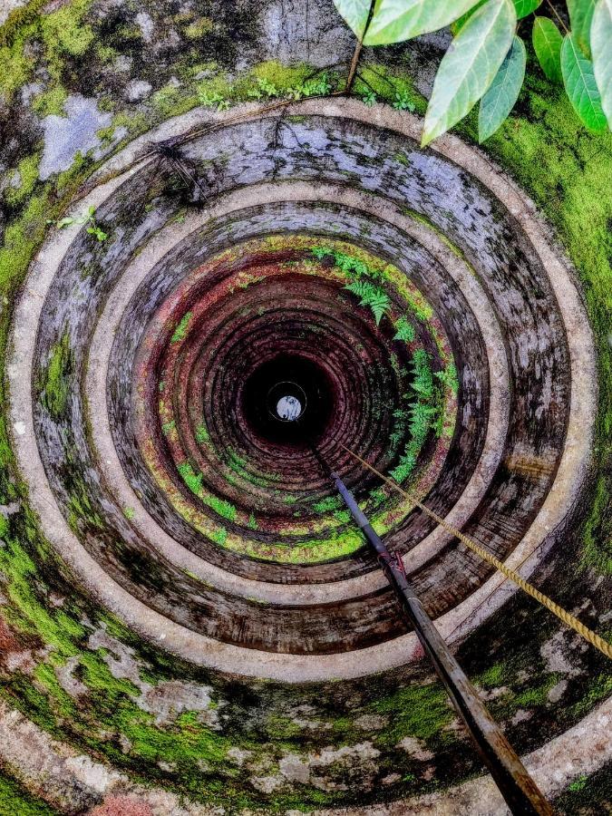 Gogonuts Hostel Varkala Exteriér fotografie