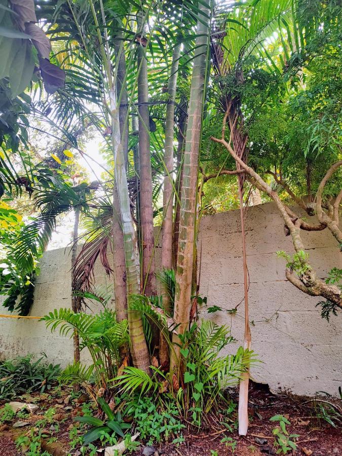 Gogonuts Hostel Varkala Exteriér fotografie